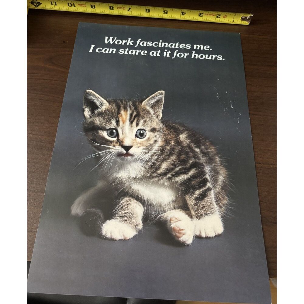vintage 1984 Cat work motivation poster